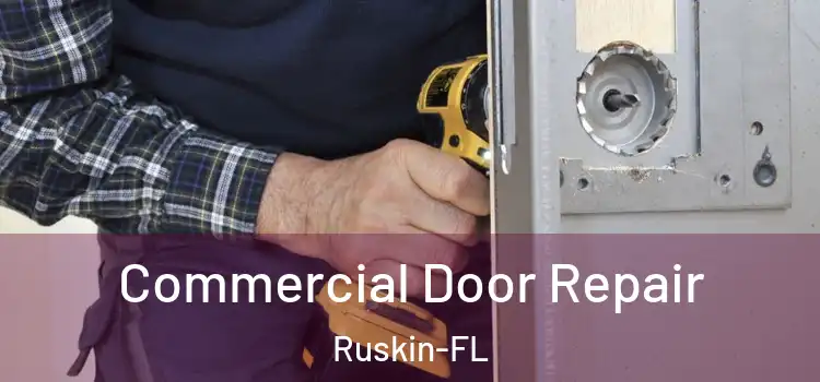  Commercial Door Repair Ruskin-FL