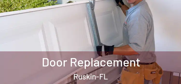  Door Replacement Ruskin-FL