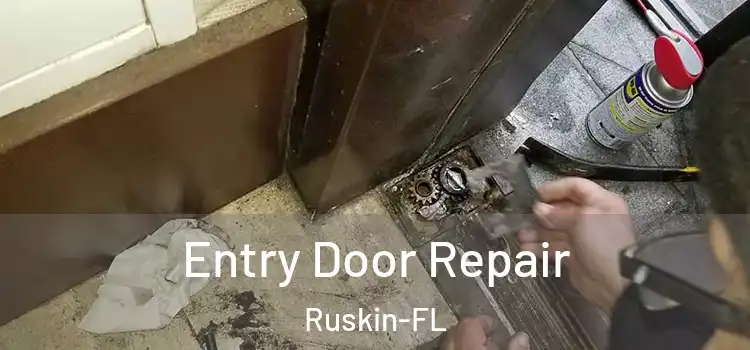  Entry Door Repair Ruskin-FL