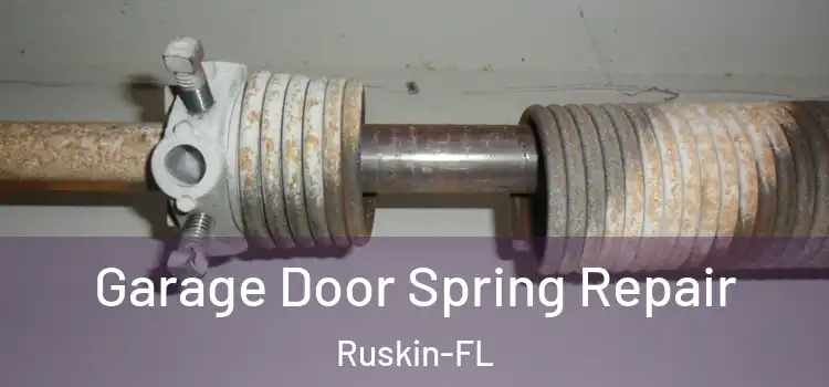  Garage Door Spring Repair Ruskin-FL