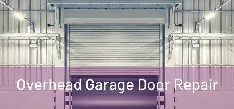  Overhead Garage Door Repair 
