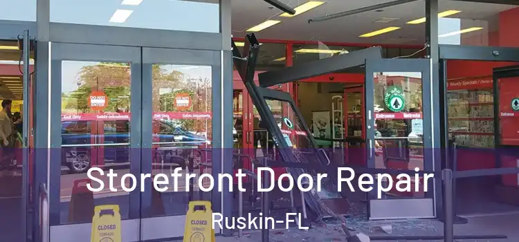  Storefront Door Repair Ruskin-FL